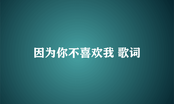 因为你不喜欢我 歌词