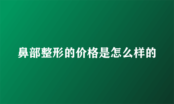 鼻部整形的价格是怎么样的