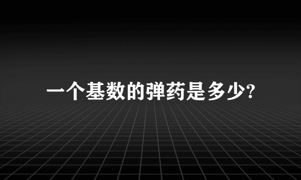 一个基数的弹药是多少?