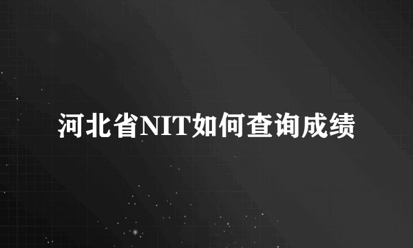 河北省NIT如何查询成绩