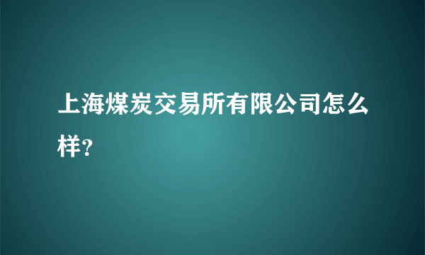 上海煤炭交易所有限公司怎么样？