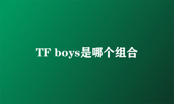 TF boys是哪个组合