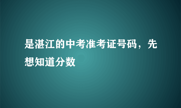 是湛江的中考准考证号码，先想知道分数