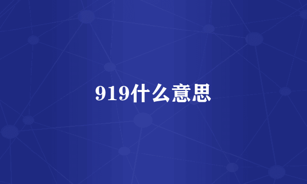 919什么意思