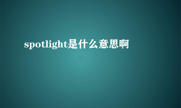 spotlight是什么意思啊