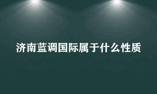 济南蓝调国际属于什么性质