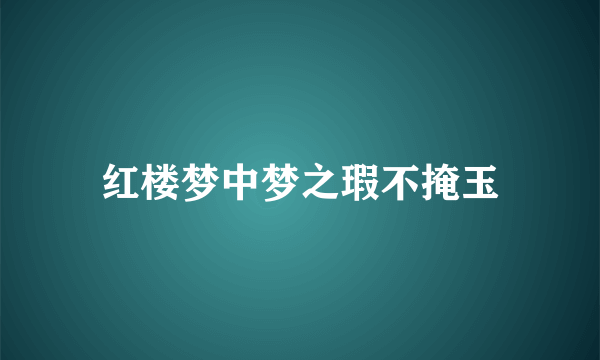 红楼梦中梦之瑕不掩玉