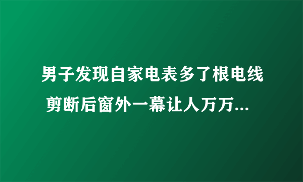 男子发现自家电表多了根电线 剪断后窗外一幕让人万万没想到？