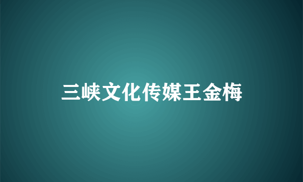 三峡文化传媒王金梅