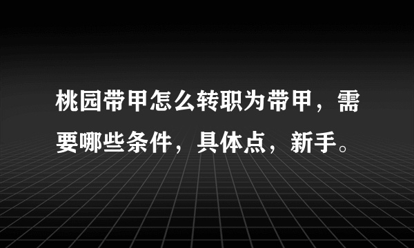 桃园带甲怎么转职为带甲，需要哪些条件，具体点，新手。