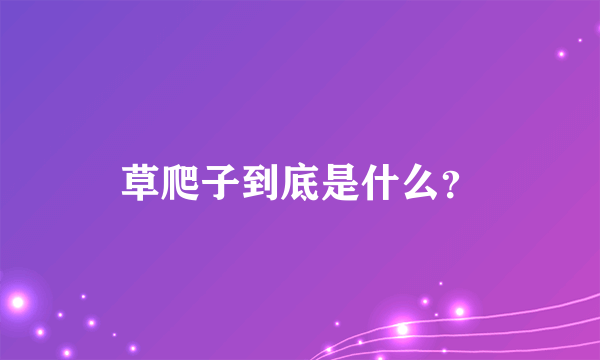 草爬子到底是什么？