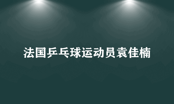 法国乒乓球运动员袁佳楠