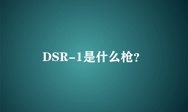 DSR-1是什么枪？