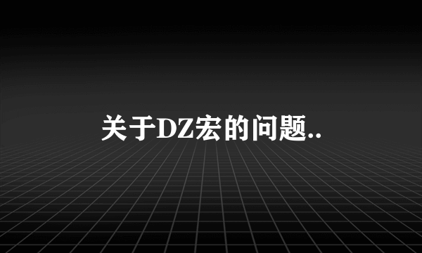 关于DZ宏的问题..