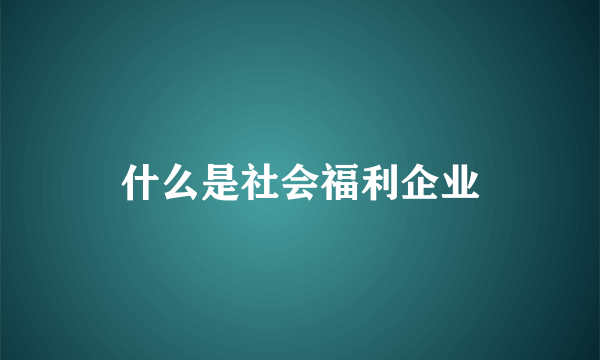 什么是社会福利企业