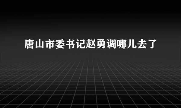 唐山市委书记赵勇调哪儿去了