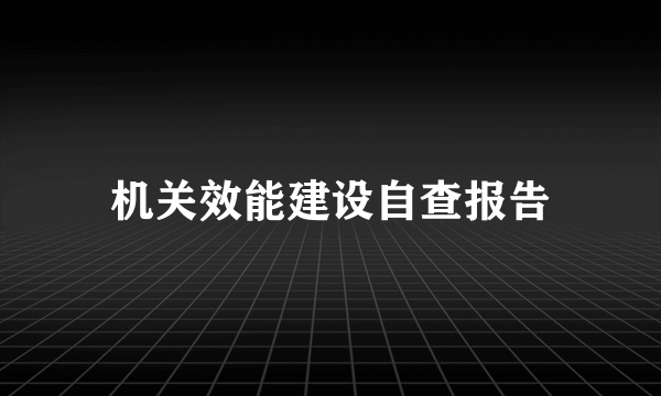 机关效能建设自查报告