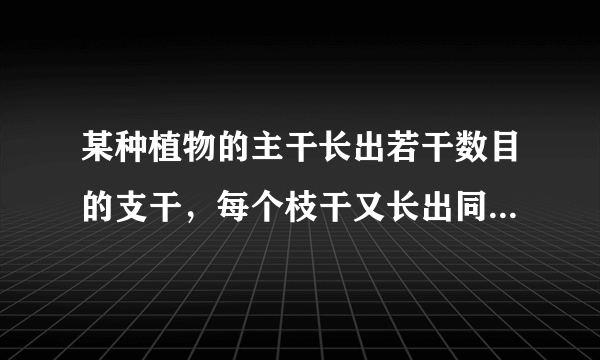 某种植物的主干长出若干数目的支干，每个枝干又长出同样数目，主干，枝干和小分支的总数是13，一只蚂蚁