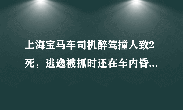 上海宝马车司机醉驾撞人致2死，逃逸被抓时还在车内昏睡, 你怎么看？