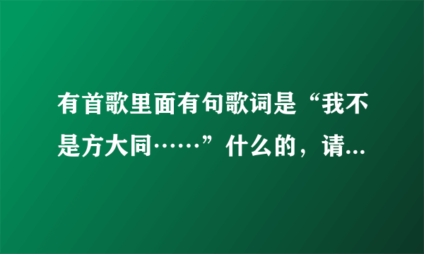 有首歌里面有句歌词是“我不是方大同……”什么的，请问是什么歌啊