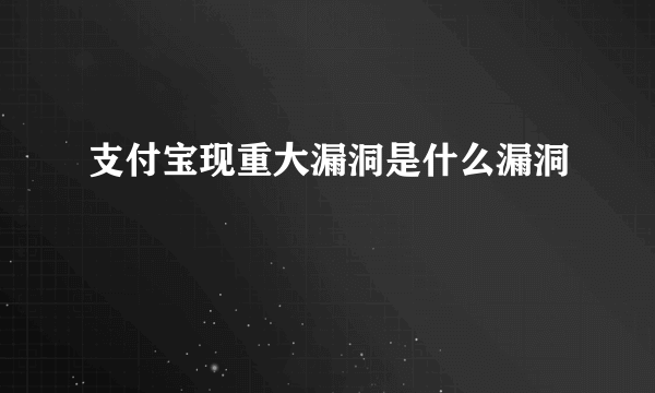 支付宝现重大漏洞是什么漏洞