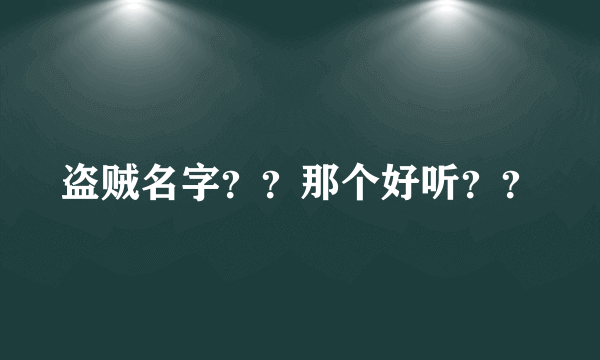 盗贼名字？？那个好听？？