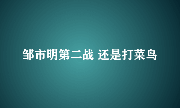 邹市明第二战 还是打菜鸟