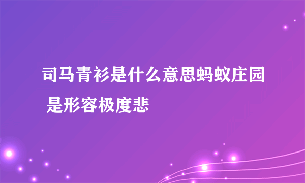 司马青衫是什么意思蚂蚁庄园 是形容极度悲