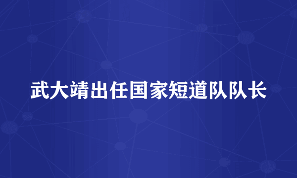 武大靖出任国家短道队队长