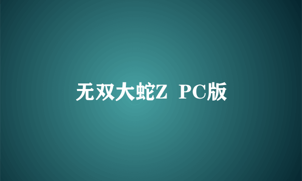 无双大蛇Z  PC版