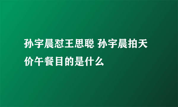 孙宇晨怼王思聪 孙宇晨拍天价午餐目的是什么