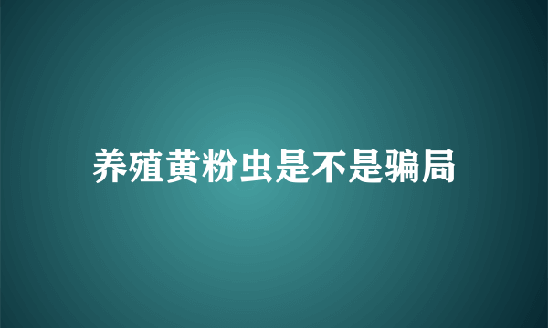 养殖黄粉虫是不是骗局