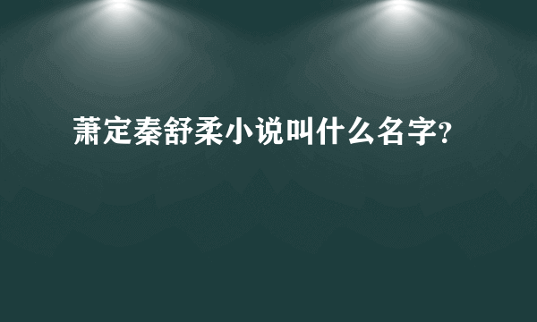 萧定秦舒柔小说叫什么名字？