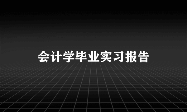 会计学毕业实习报告