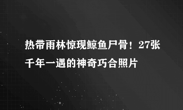 热带雨林惊现鲸鱼尸骨！27张千年一遇的神奇巧合照片