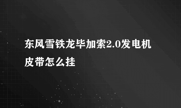 东风雪铁龙毕加索2.0发电机皮带怎么挂