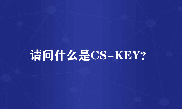 请问什么是CS-KEY？