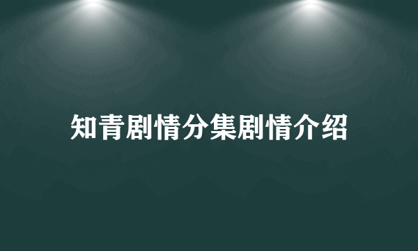 知青剧情分集剧情介绍