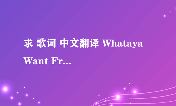 求 歌词 中文翻译 Whataya Want From Me