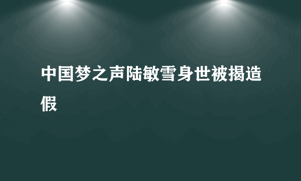 中国梦之声陆敏雪身世被揭造假