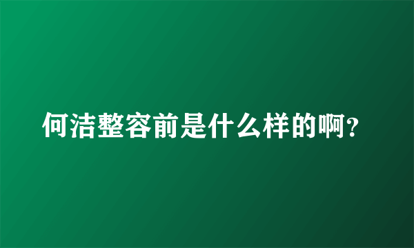 何洁整容前是什么样的啊？