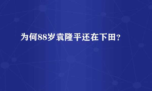 为何88岁袁隆平还在下田？