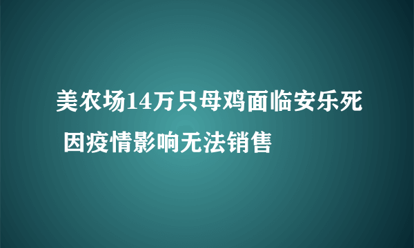 美农场14万只母鸡面临安乐死 因疫情影响无法销售