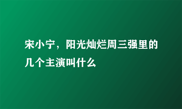 宋小宁，阳光灿烂周三强里的几个主演叫什么