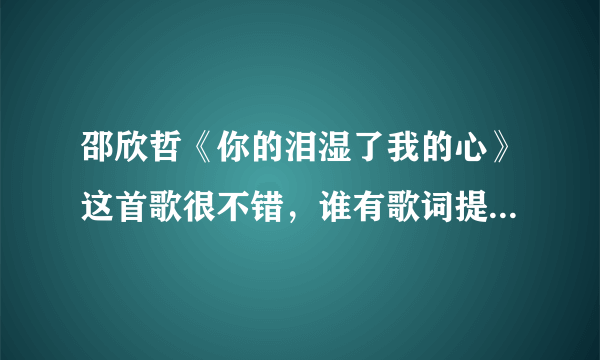 邵欣哲《你的泪湿了我的心》这首歌很不错，谁有歌词提供我下，谢谢!