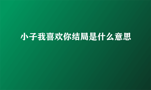 小子我喜欢你结局是什么意思