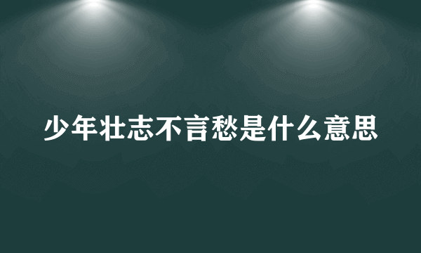 少年壮志不言愁是什么意思