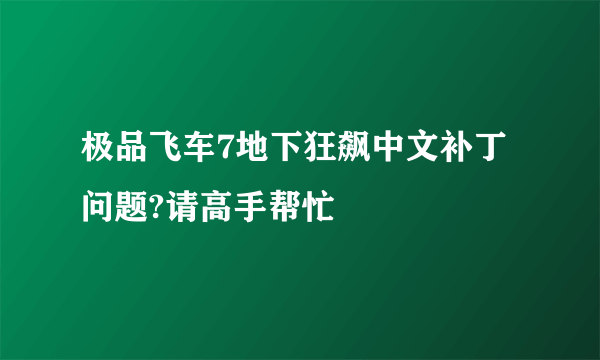 极品飞车7地下狂飙中文补丁问题?请高手帮忙