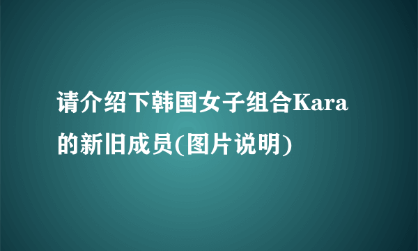 请介绍下韩国女子组合Kara的新旧成员(图片说明)