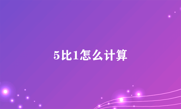 5比1怎么计算